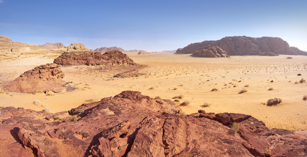 Wadi Rum Green Desert Exteriör bild
